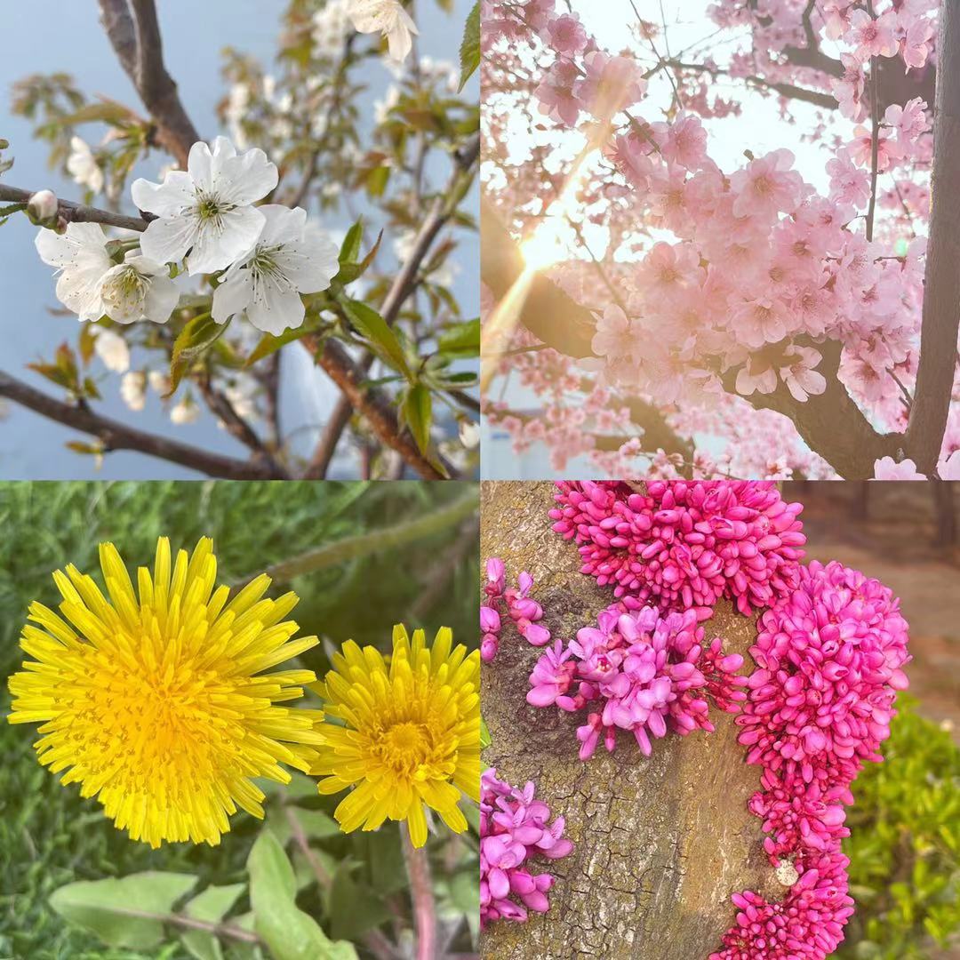 Ӫ++Ʒ˵ Ȱµһ ñȷ紥¶ ľվ һ仨ڴһ仨 Ը Զſɰ ԸĵĴЦ.jpg